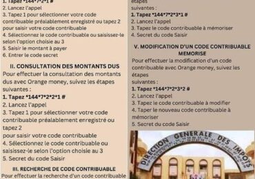 Burkina Faso: 𝐋e service 𝐝𝐞𝐬 𝐢𝐦𝐩ô𝐭𝐬 valide le payement électronique
