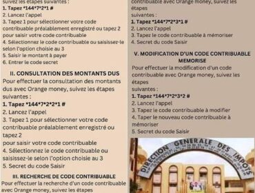Burkina Faso: 𝐋e service 𝐝𝐞𝐬 𝐢𝐦𝐩ô𝐭𝐬 valide le payement électronique
